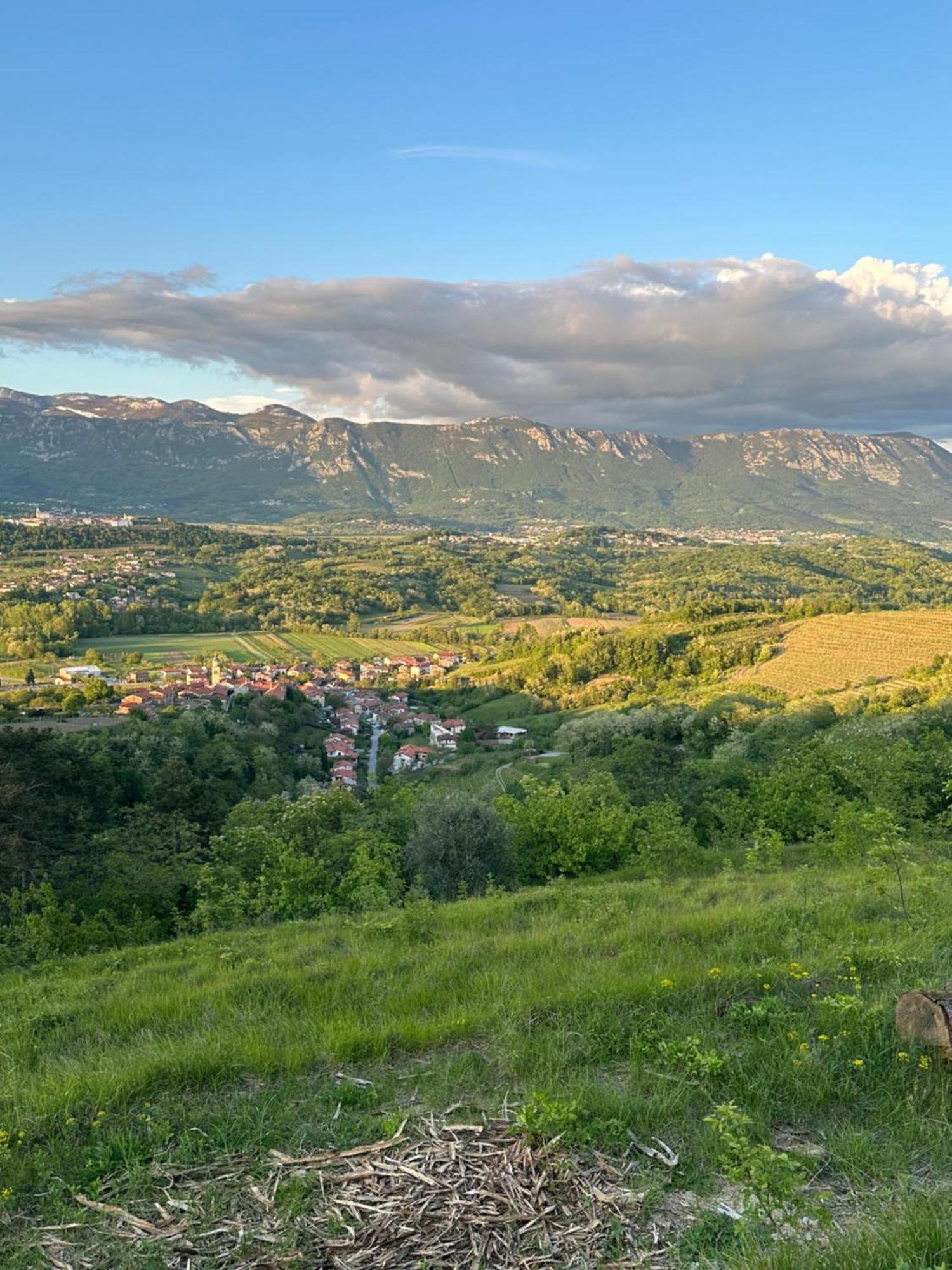 Apartma Anze Samec Dobravlje Екстер'єр фото